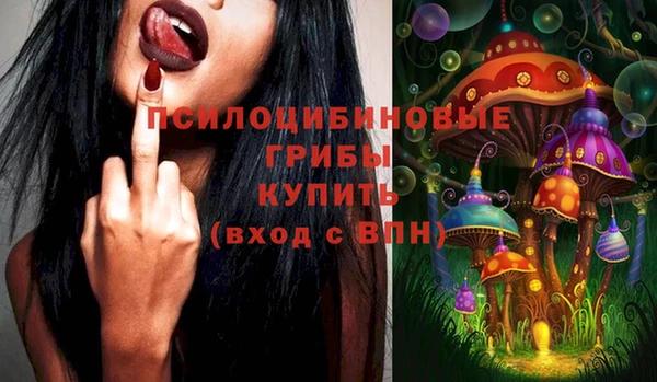 бошки Верхний Тагил